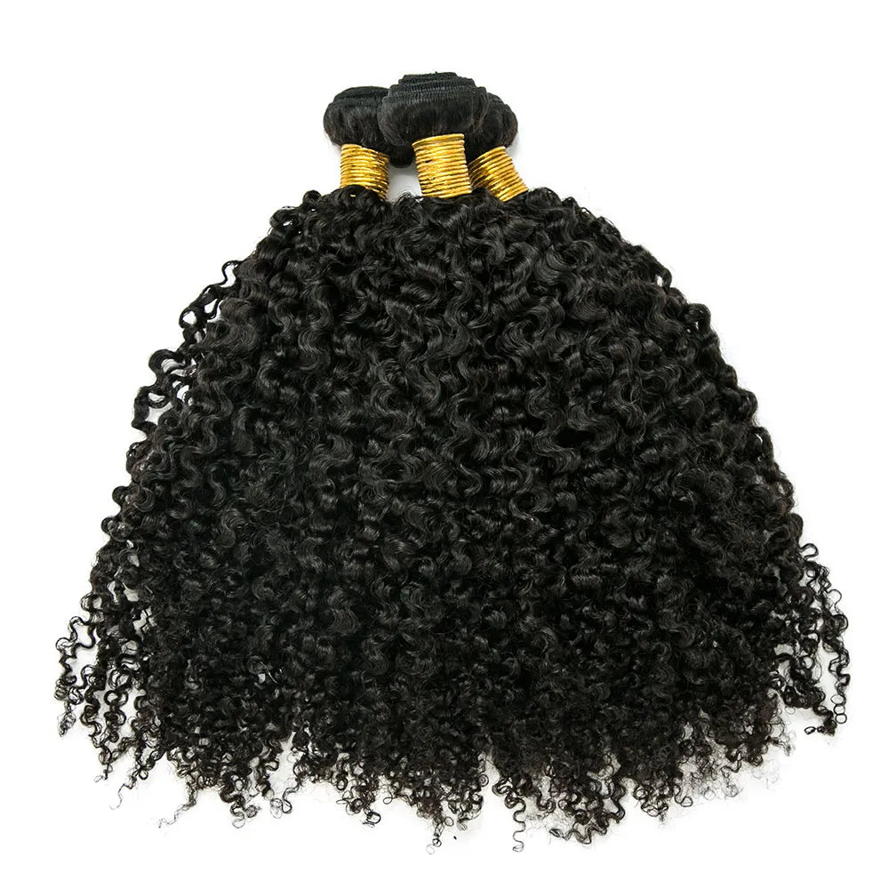 Kinky Curly Natural Color Bundles