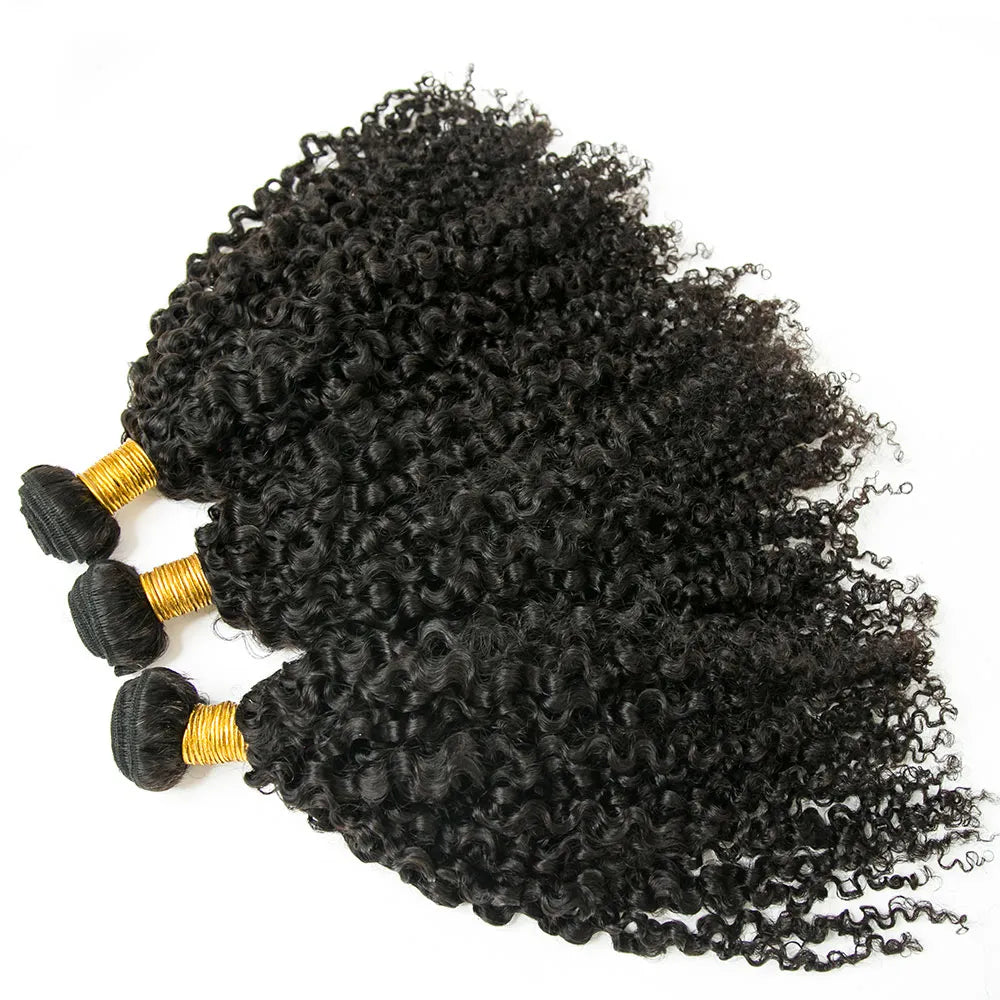 Kinky Curly Natural Color Bundles